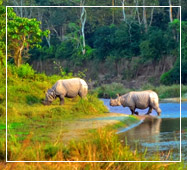 chitwan national park tours