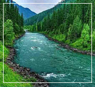 kashmir tours and travels