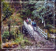 phalut-sandakphu-trek-guide-from-kolkata