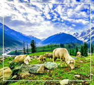 srinagar tour packages