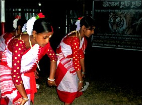 sundarban tour photos