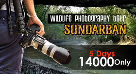 Sundarban Photography Tour